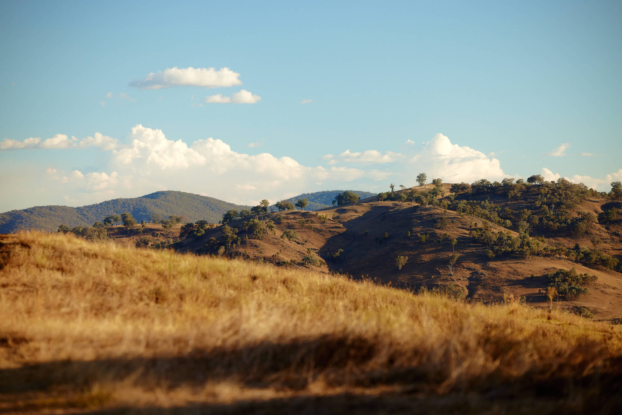 Hilltops | Birchmore Group